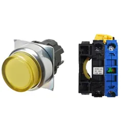 Omron A22NL-RPA-TYA-G100-YC